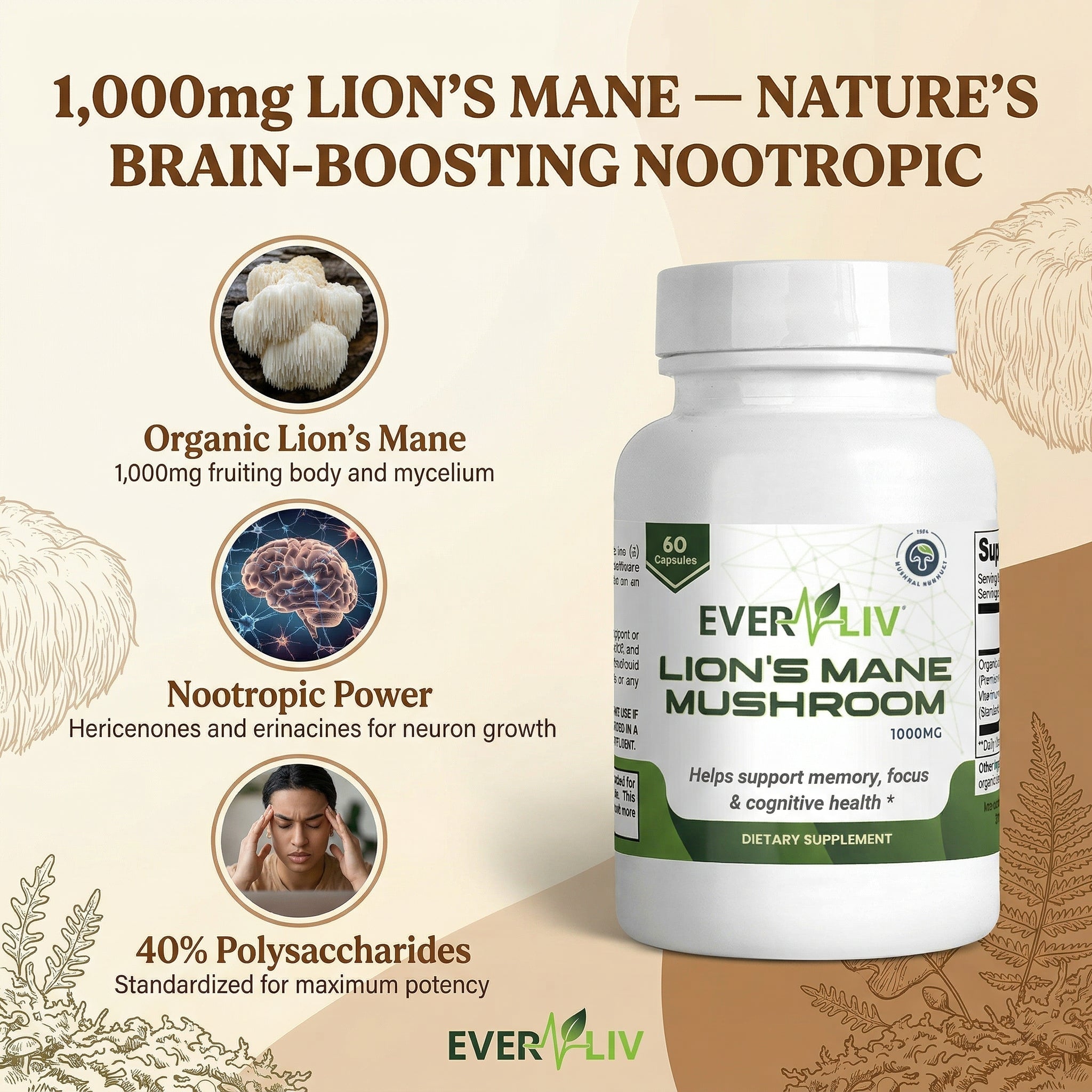 EverLiv Lion's Mane Mushroom - EverLiv LLC