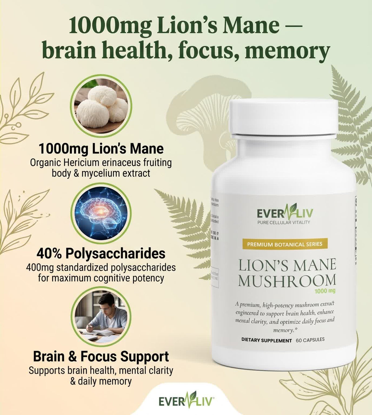 EverLiv Lion's Mane Mushroom - EverLiv LLC