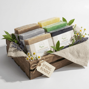 AROMA THERAPY - SPRING BUNDLE - EverLiv LLC