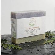 EverLiv Clean Forrest Soap - EverLiv LLC