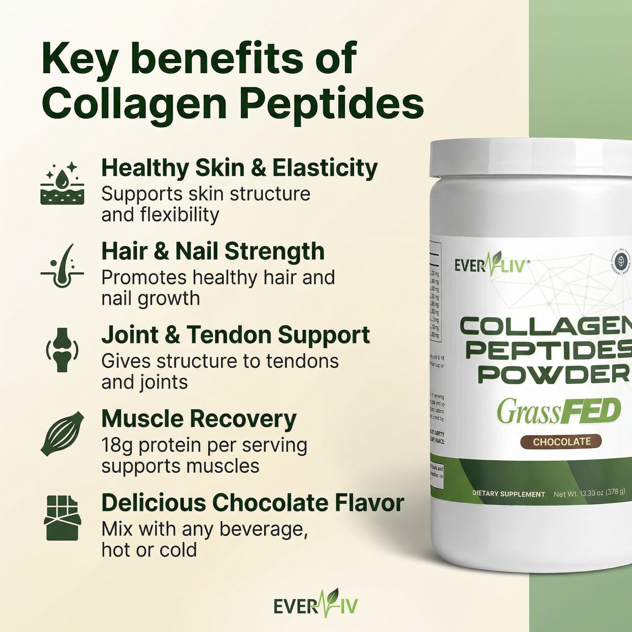 EverLiv Collagen Peptides Powder (Chocolate) - EverLiv LLC