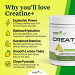 Load image into Gallery viewer, EverLiv Creatine+ Electrolytes - EverLiv LLC