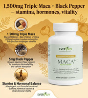 Everliv Maca Plus - EverLiv LLC