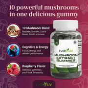 EverLiv - Mushroom Extract Gummies - EverLiv LLC